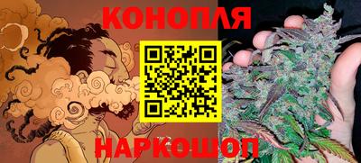 шишки Будённовск