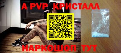 шишки Будённовск